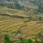 Nepal_086.jpg